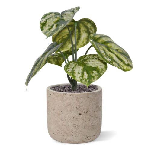 Peperomia Gold Dust artificial plant 20cm